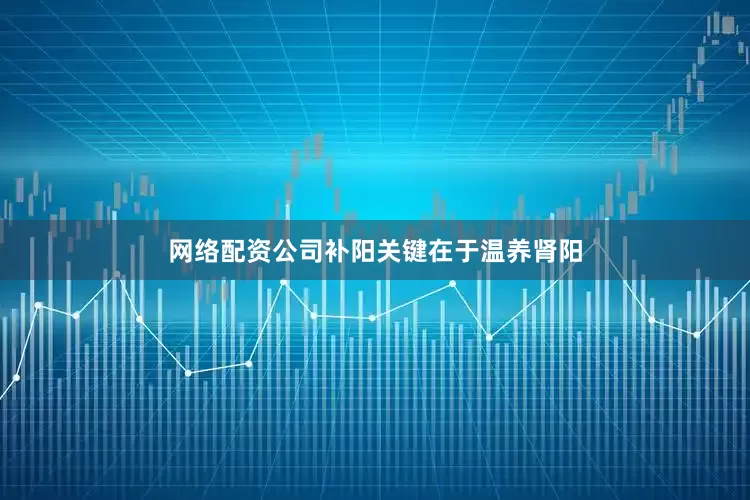 网络配资公司补阳关键在于温养肾阳