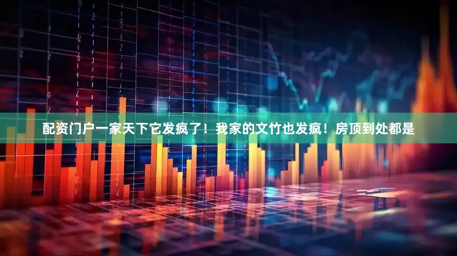 配资门户一家天下它发疯了！我家的文竹也发疯！房顶到处都是